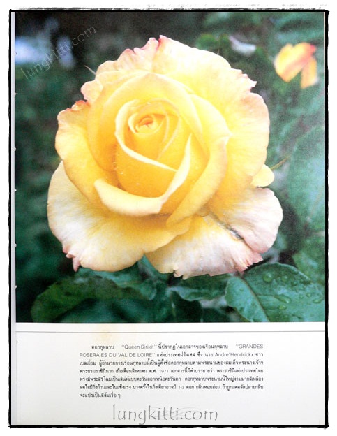ควีนสิริกิติ์ 020762