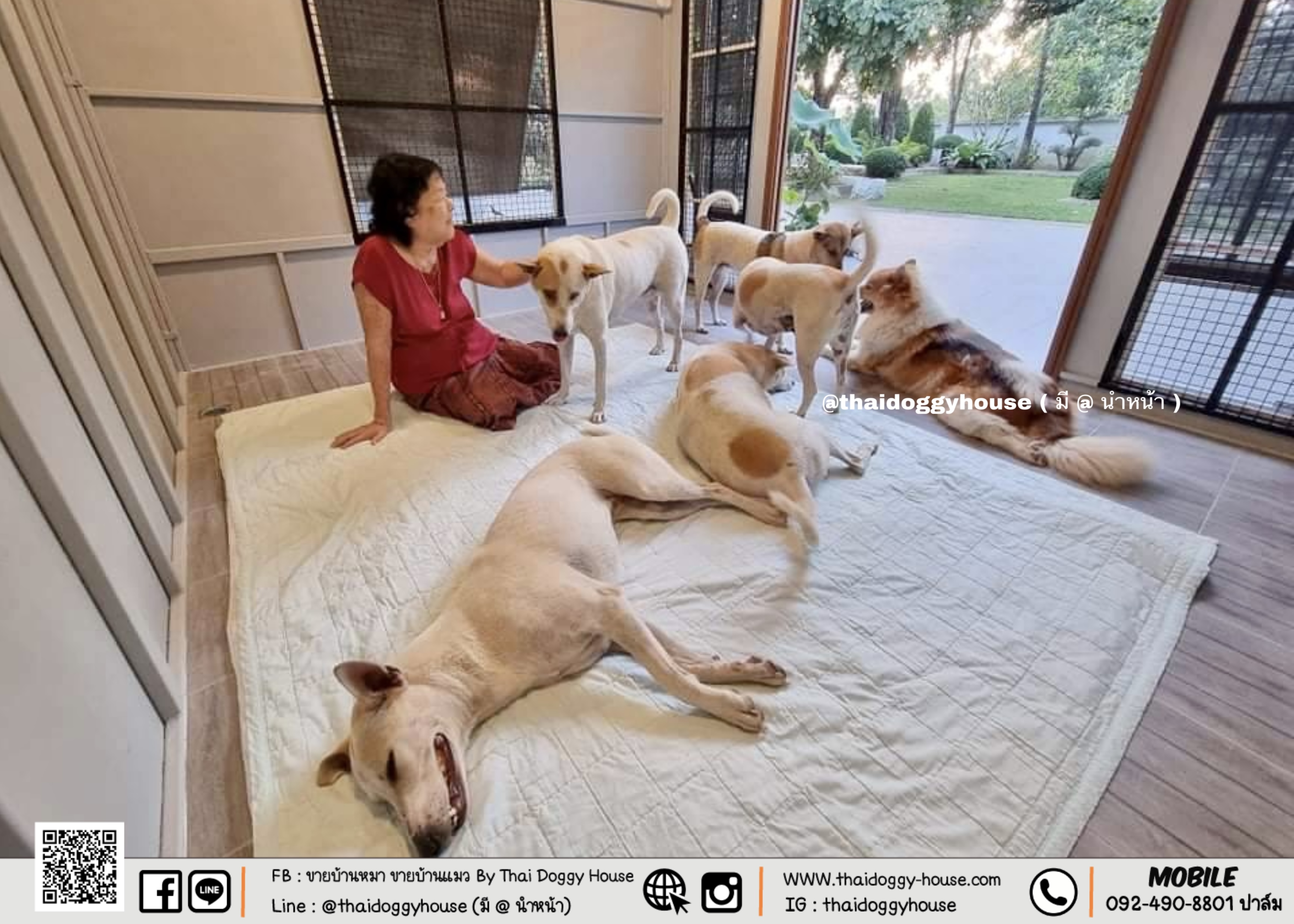 บ้านหมา บ้านแมว Box Style " ภายในกว้าง หลังใหญ่มาก ไม่อึดอัด พร้อมตะแกรงเหล็กดัด แถมมุ้งลวดให้ด้วยน้า น้องๆนอนสบายแน่นอน 🥰