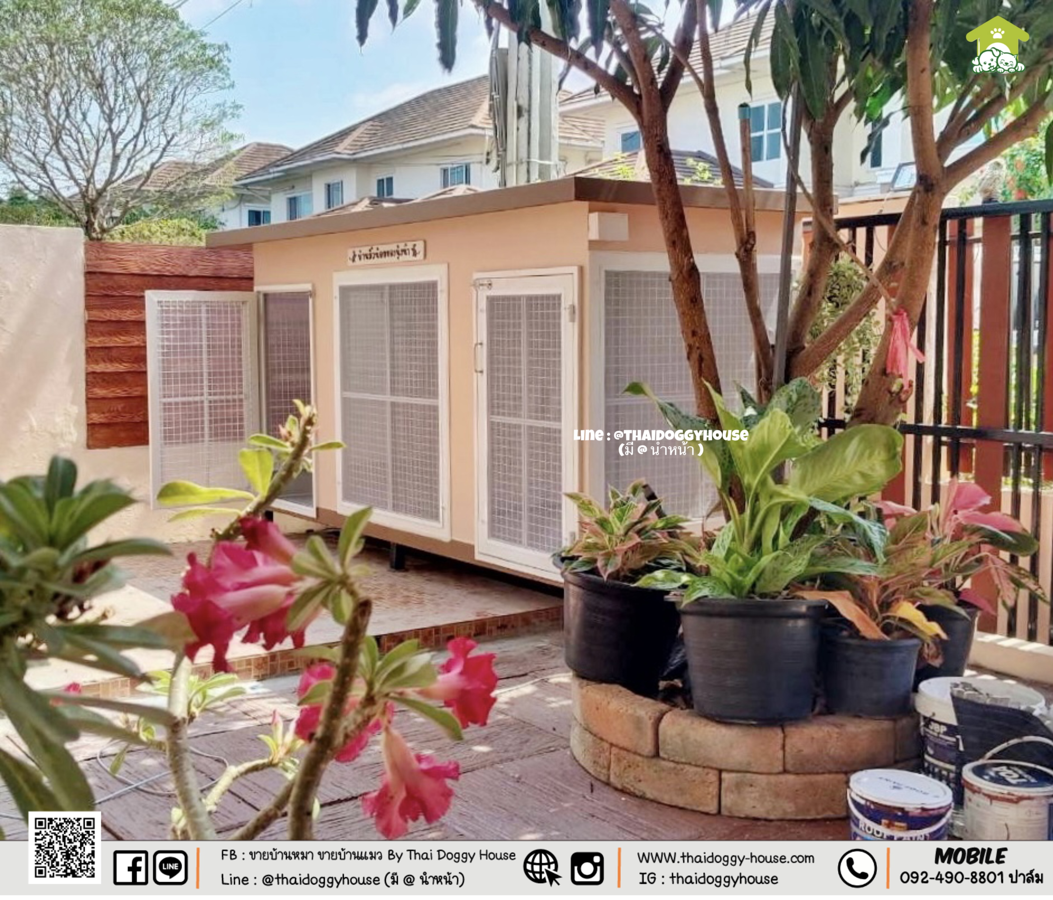 🏡 บ้านหมา บ้านแมว " 𝐁𝐎𝐗 𝐒𝐓𝐘𝐋𝐄 𝐁𝐘 𝐓𝐇𝐀𝐈 𝐃𝐎𝐆𝐆𝐘 𝐇𝐎𝐔𝐒𝐄