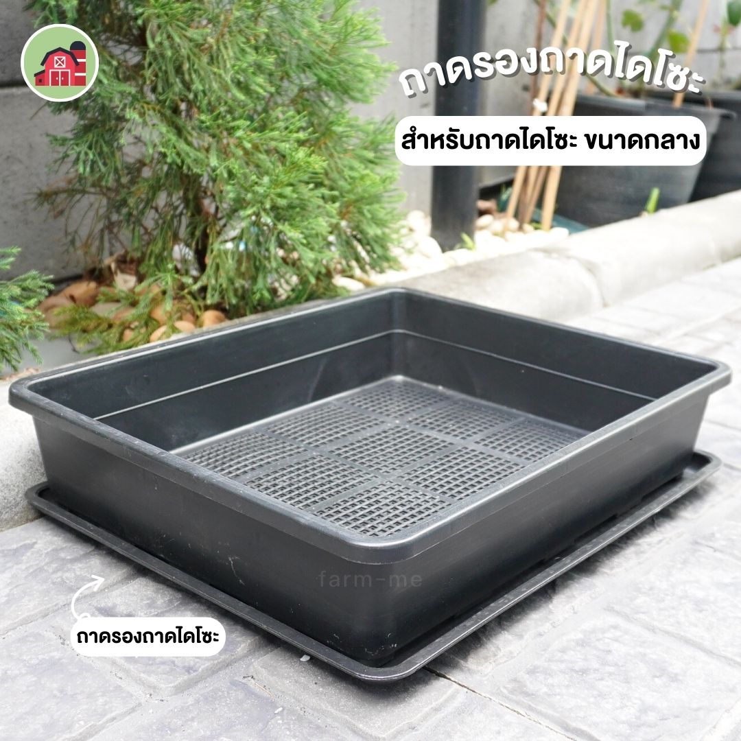 ถาดรองถาดไดโซะ สำหรับถาดไดโซะกลาง