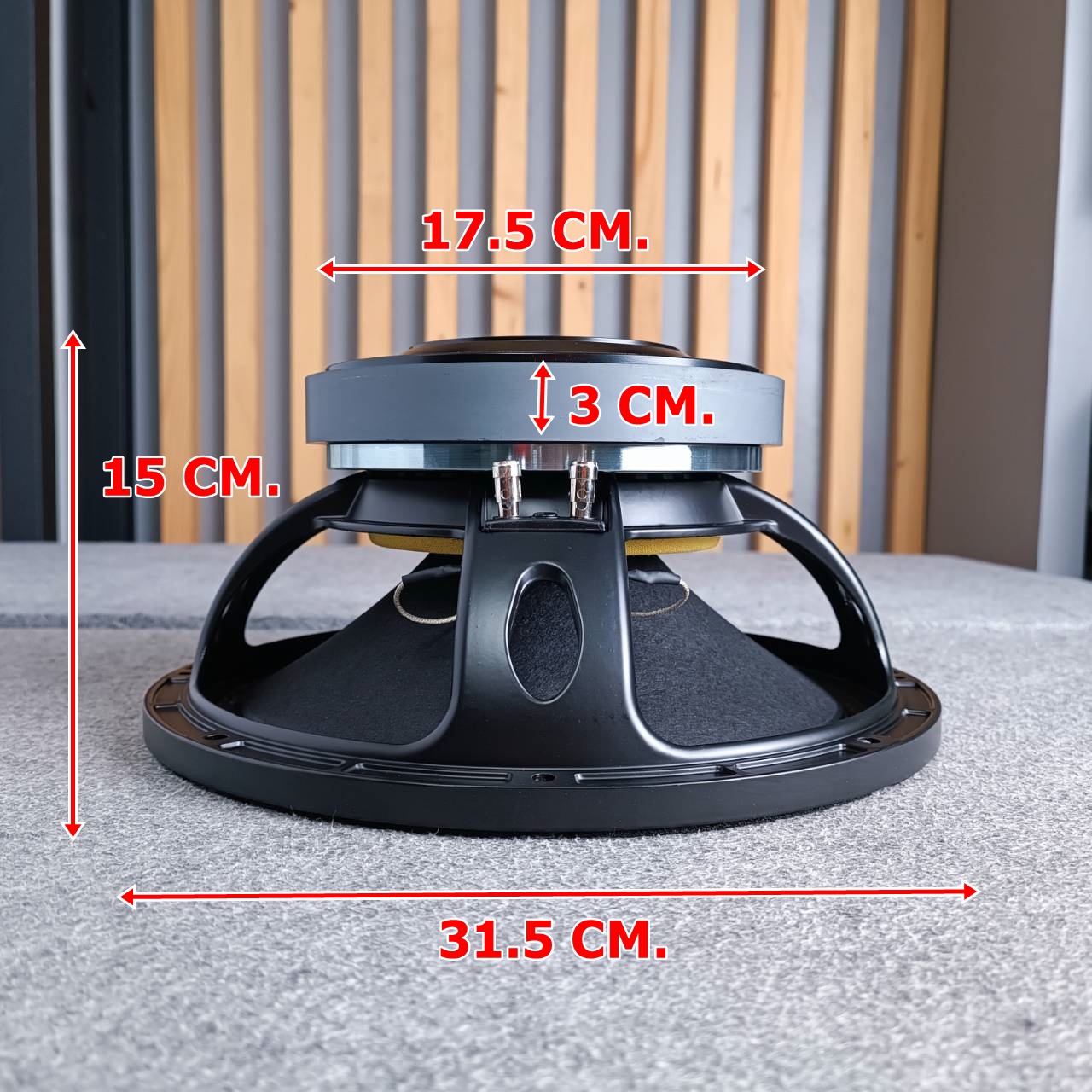KANE 12AB1000 ลำโพง12นิ้ว ดอกลำโพง 12นิ้ว 12AB-1000 KA NE คาเน่ 12AB 1000 เอไอ-ไพศาล