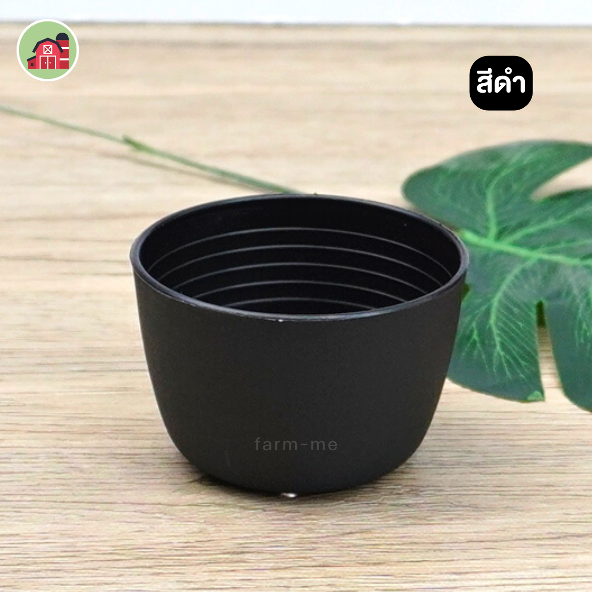 กระถางแคคตัส กลม ขนาด 2.5 นิ้ว แพ็ค50ใบ