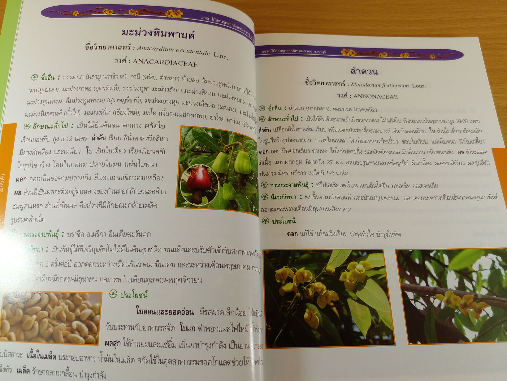 พรรณไม้สวนรุขชาติหนองตาอยู่ จังหวัดชลบุรี