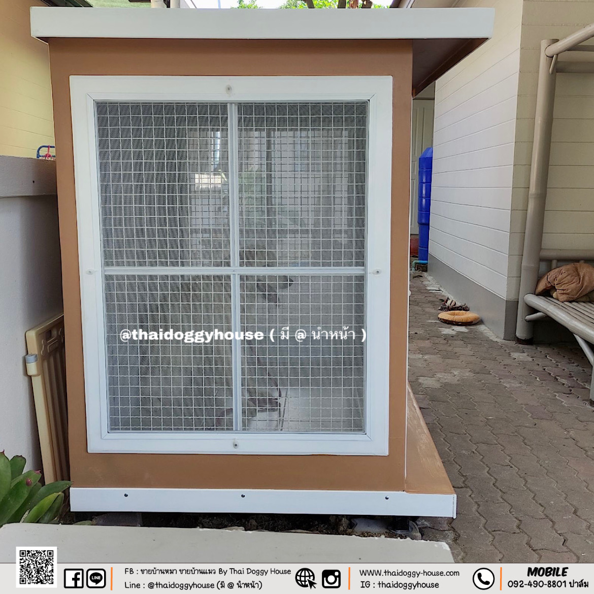 บ้านหมา บ้านแมว " 𝐁𝐎𝐗 𝐒𝐓𝐘𝐋𝐄 𝐁𝐘 𝐓𝐇𝐀𝐈 𝐃𝐎𝐆𝐆𝐘 𝐇𝐎𝐔𝐒𝐄 " &#x