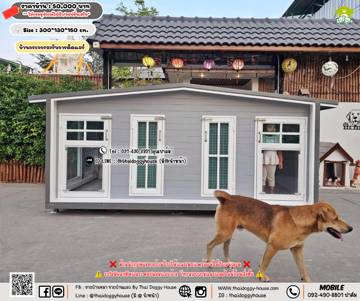 บ้านหมา บ้านแมว 𝐓𝐡𝐚𝐢 𝐝𝐨𝐠𝐠𝐲 𝐡𝐨𝐮𝐬𝗲