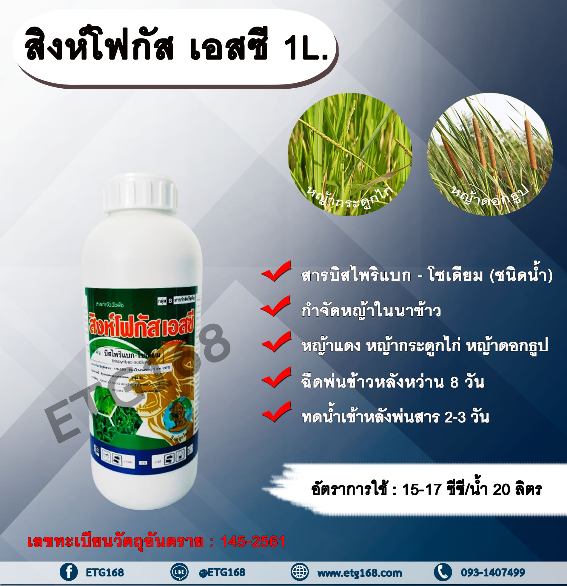 สิงห์โฟกัส เอสซี 1L.บิสไพริแบกโซเดียม สารกำจัดวัชพืช กำจัดหญ้า ในนาข้าว กำจัดหญ้าแดง หญ้ากระดูกไก่ หญ้าดอกธูป หญ้าดอกต่