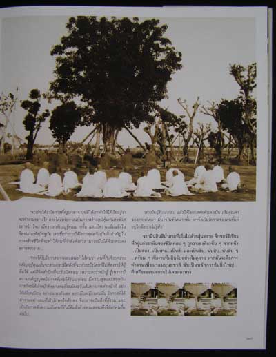 กรุณาแห่งหัวใจ / แม่ชีศันสนีย์ เสถียรสุต 004600