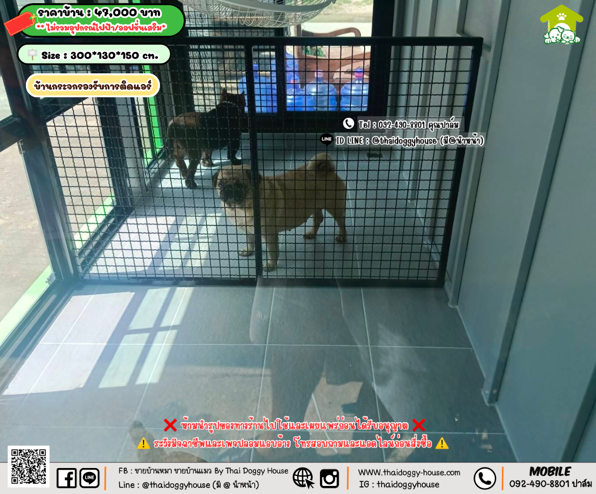 บ้านหมา บ้านแมว 𝐓𝐡𝐚𝐢 𝐝𝐨𝐠𝐠𝐲 𝐡𝐨𝐮𝐬𝗲