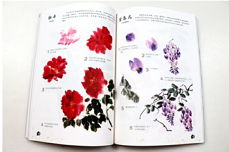 คู่มือ วาดภาพด้วยพู่กัน