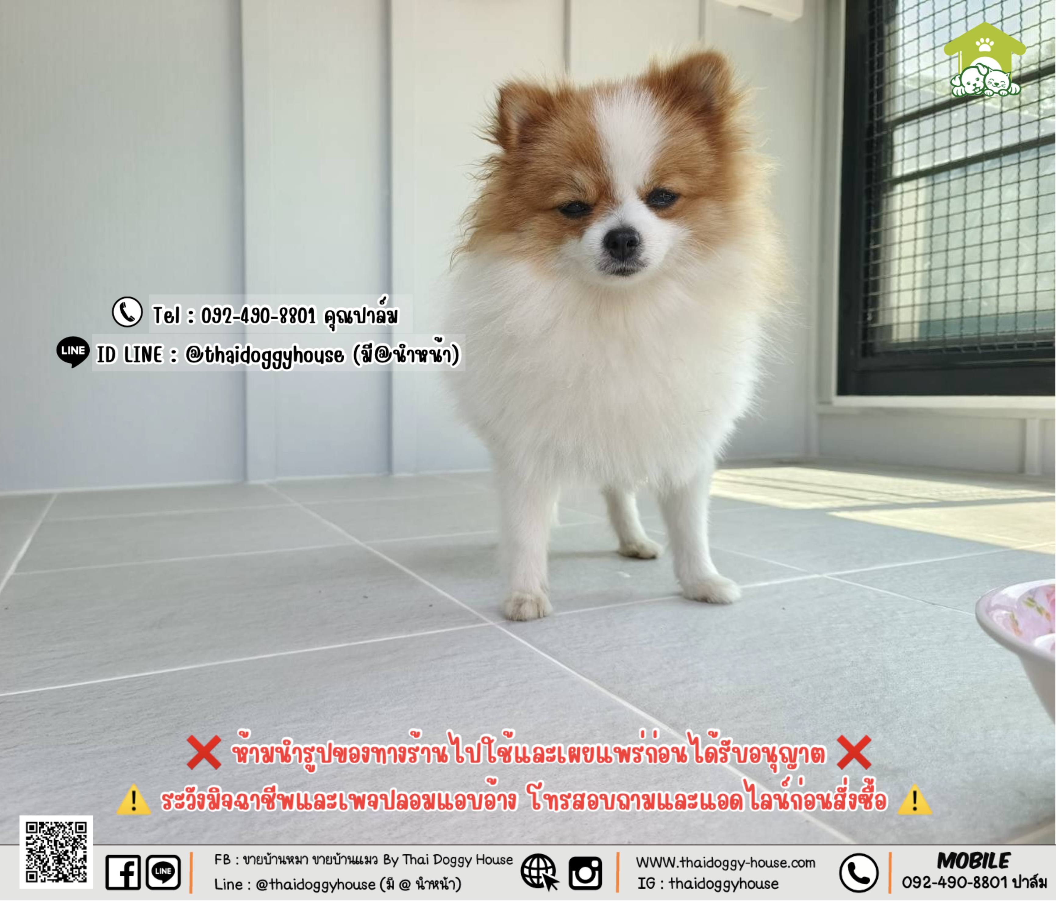 บ้านหมา บ้านแมว 𝐓𝐡𝐚𝐢 𝐝𝐨𝐠𝐠𝐲 𝐡𝐨𝐮𝐬𝗲 รวมแอร์+อุปกรณ์ไฟฟ้าครบชุด