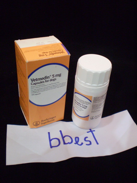ขายยา Vetmedin ยาโรคหัวใจสำหรับสุนัขตัวยา Pimobendan 5 mg Capsule มีพร้อมส่งแล้วครับ
