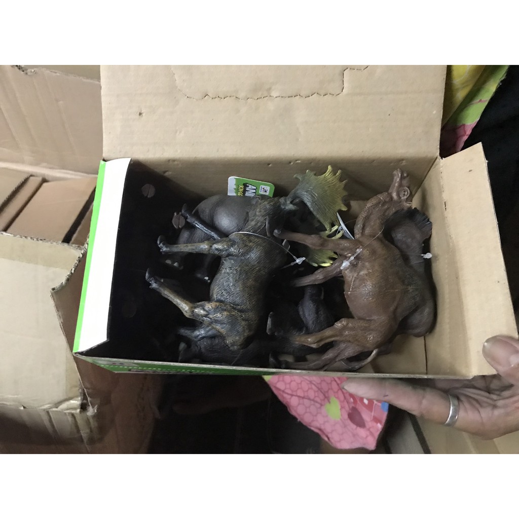 S60466 ของเล่นเด็กโมเดลสัตว์ป่าเล่นมือ 6 ตัว ยกกล่อง