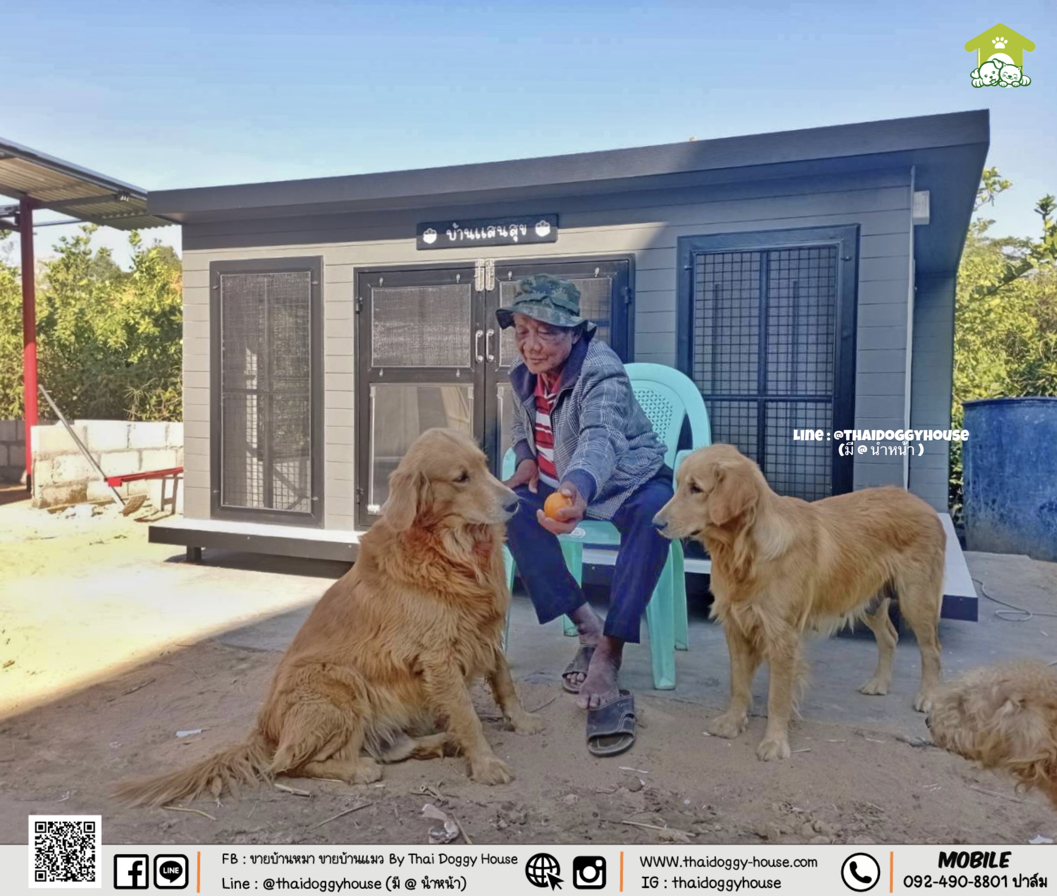 บ้านหมา บ้านแมว " 𝐁𝐎𝐗 𝐒𝐓𝐘𝐋𝐄 𝐁𝐘 𝐓𝐇𝐀𝐈 𝐃𝐎𝐆𝐆𝐘 𝐇𝐎𝐔𝐒𝐄 "