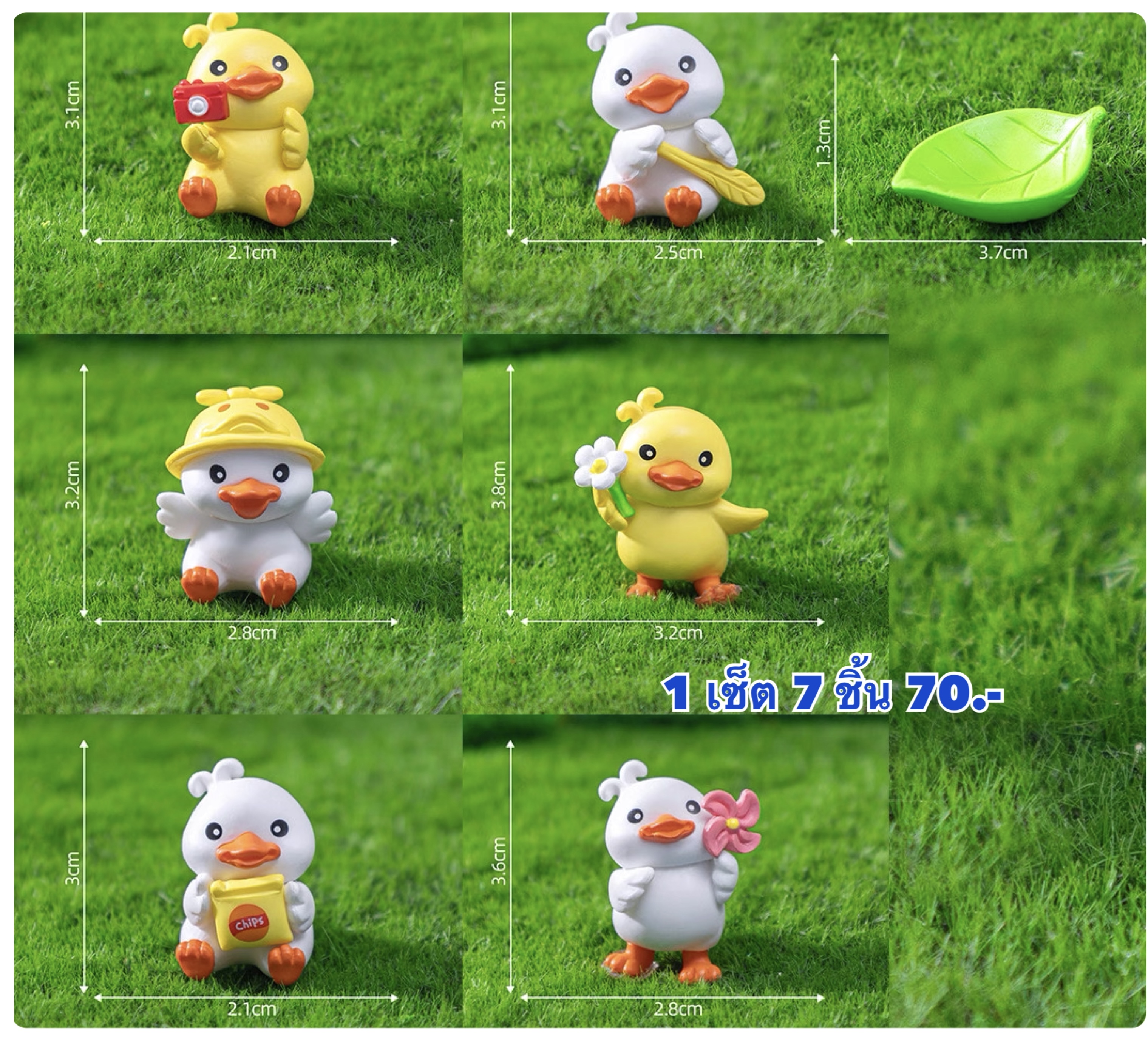 เซ็ตเป็ด 6 ชิ้น