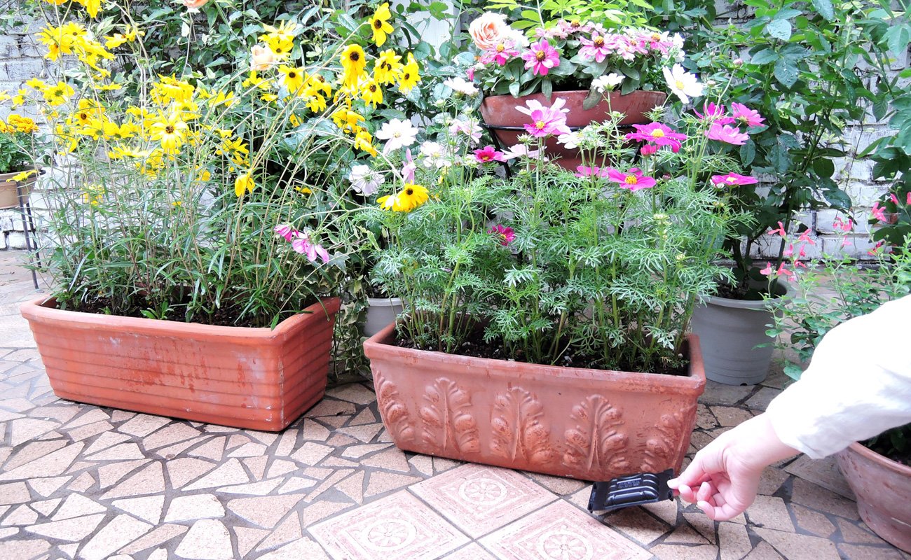 🙀 Garden Cat-Only Chisel Container Type แผ่นไล่แมวจรจัด ไม่ต้องตี ไม่ต้องไล่ ไม่บาปค่ะ แค่วางไว้ แมวก็ไม่มาแล้วค่ะ