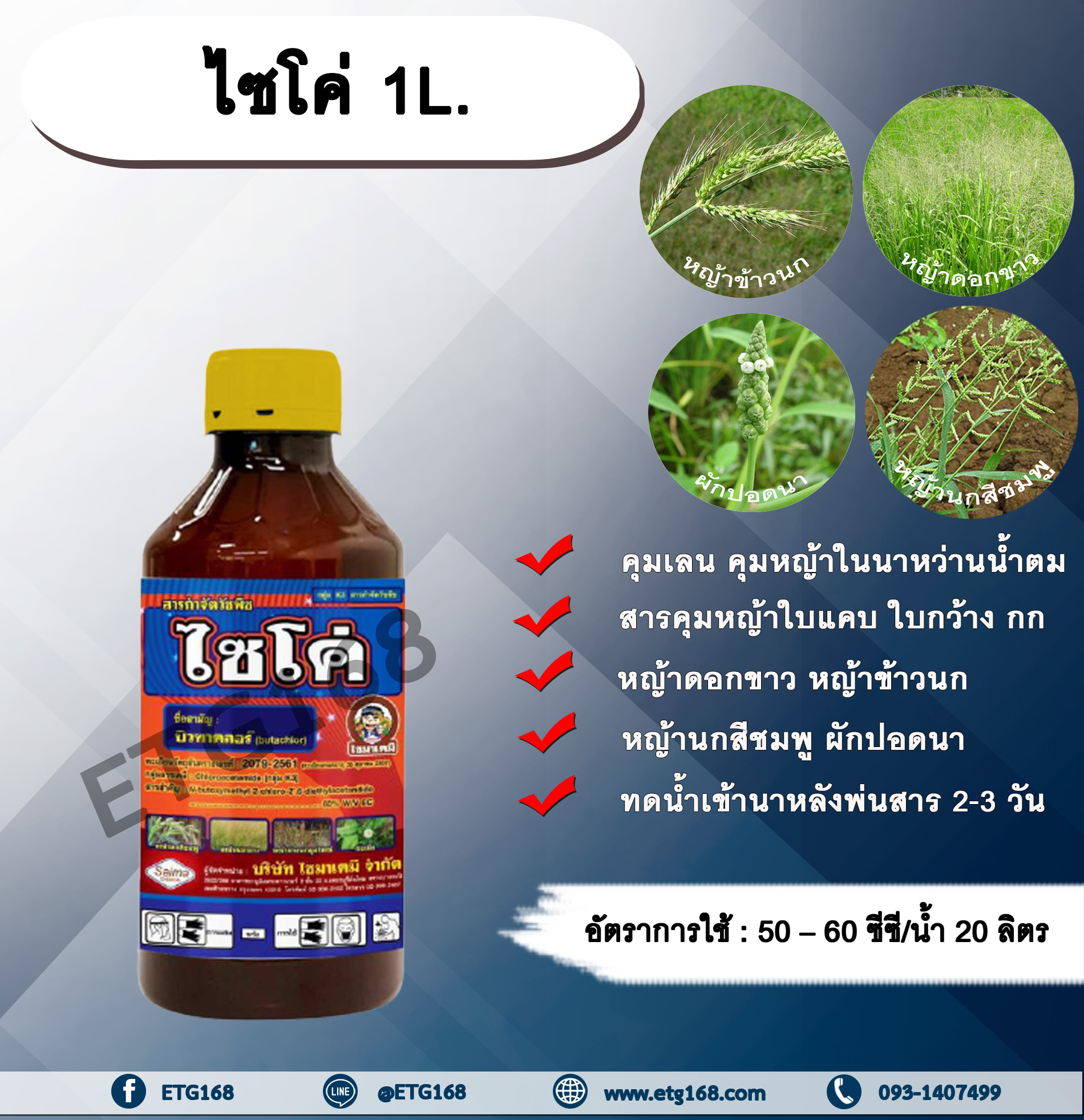 ไซโค่ 1L. บิวทาคลอร์ คุมเลน นาหว่านน้ำตม สารคุมหญ้า คุมวัชพืช คุมหญ้าในนาข้าว คุมหญ้าใบแคบ คุมหญ้าใบกว้าง คุมกก หญ้าดอกขาว หญ้านกสีชมพู หญ้าข้าวนก หญ้าแดง ผักปอดนา หนวดปลาดุก กะเม็ง
