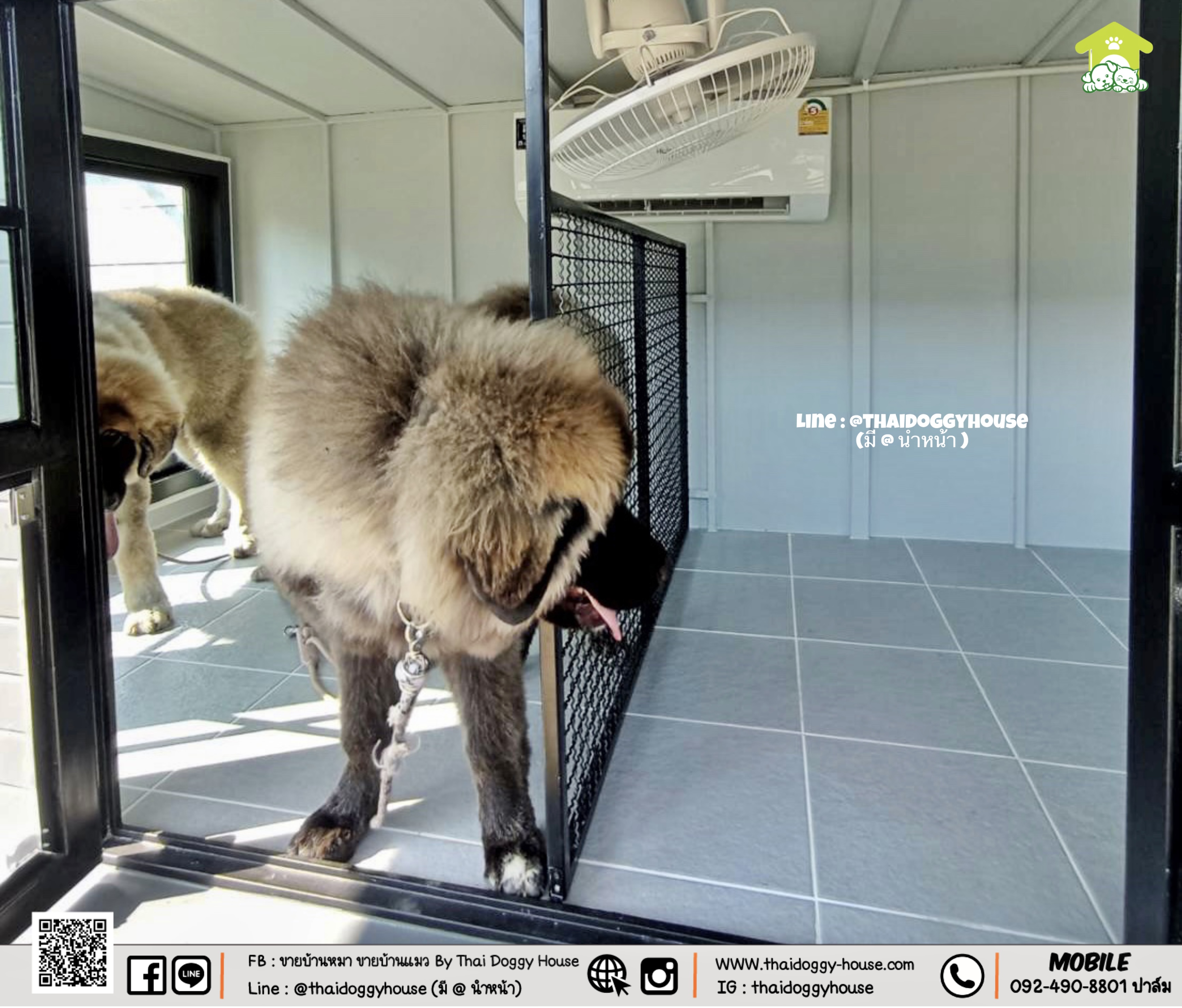 บ้านหมา บ้านแมว " 𝐁𝐎𝐗 𝐒𝐓𝐘𝐋𝐄 𝐁𝐘 𝐓𝐇𝐀𝐈 𝐃𝐎𝐆𝐆𝐘 𝐇𝐎𝐔𝐒𝐄 "