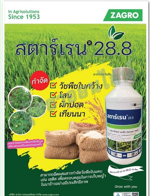 สตาร์เรน 28.8 500 cc ฟลูรอกซีเพอร์-เมปทิล สารกำจัดวัชพืช กำจัดวัชพืชใบกว้าง กำจัดเถาตดหมูตดหมา เถาสะอึก เชือกเถา เถาถั่วคลุม สาบแร้ง สาบกา สาบเสือ หญ้ายาง ผักเบี้ยหิน เซ่งใบมน ขยุ้งตีนหมาและพืชคลุมดิน ตระกลูถั่ว ทาตอไม้ ใช้ในปาล์มน้ำมัน อ้อย ข้าว ข้าวโพด