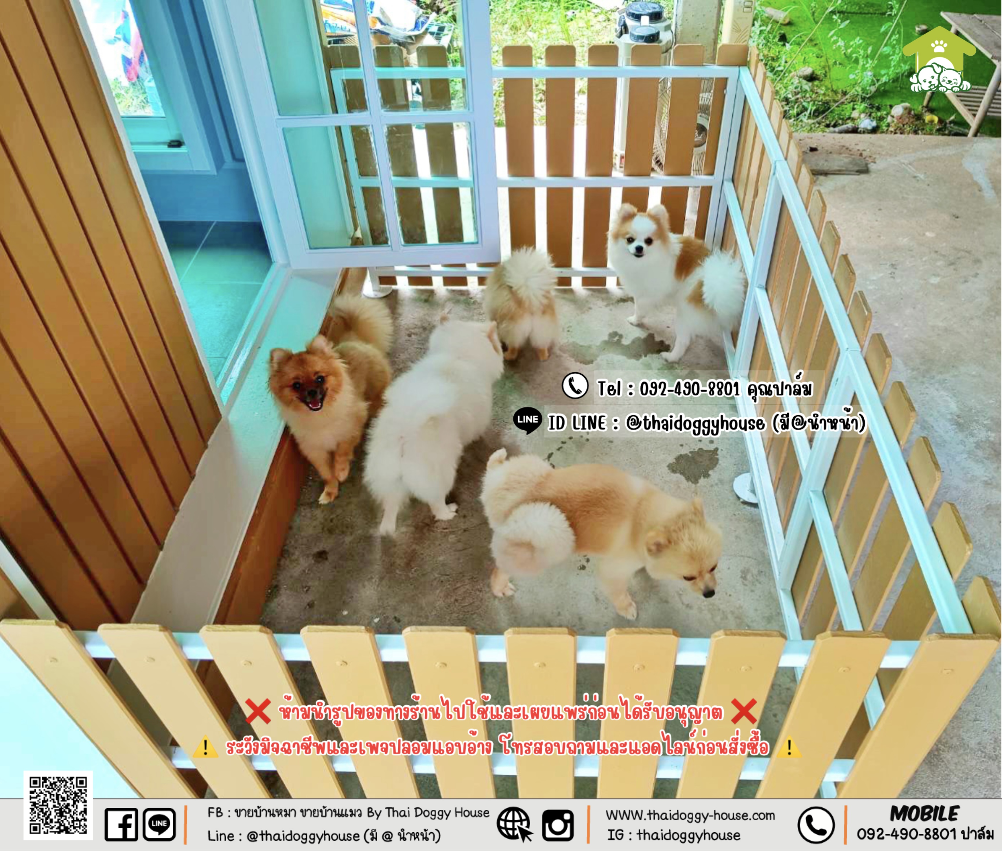 บ้านหมา บ้านแมว 𝐓𝐡𝐚𝐢 𝐝𝐨𝐠𝐠𝐲 𝐡𝐨𝐮𝐬𝗲