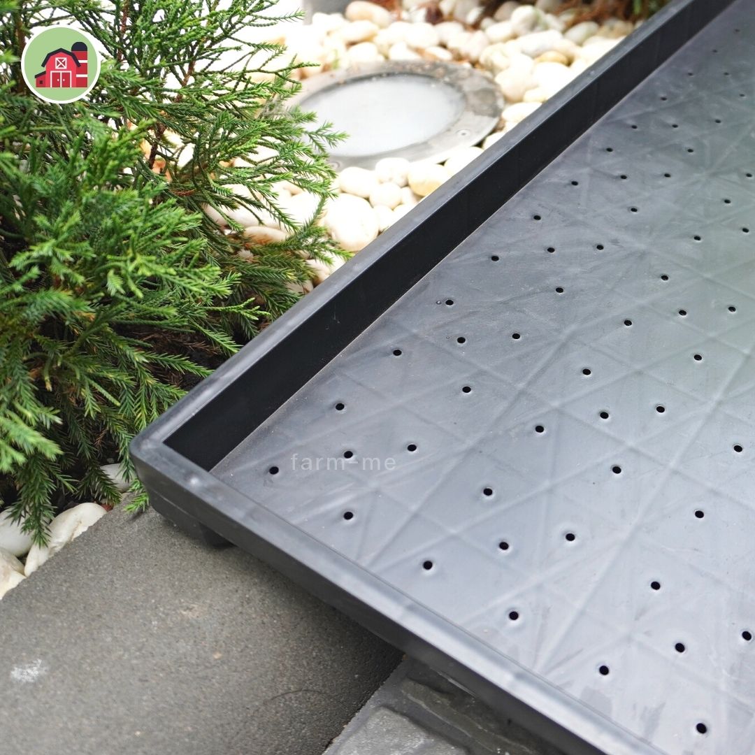 ถาดเพาะเมล็ดข้าว แพ็ค 10 ชิ้น