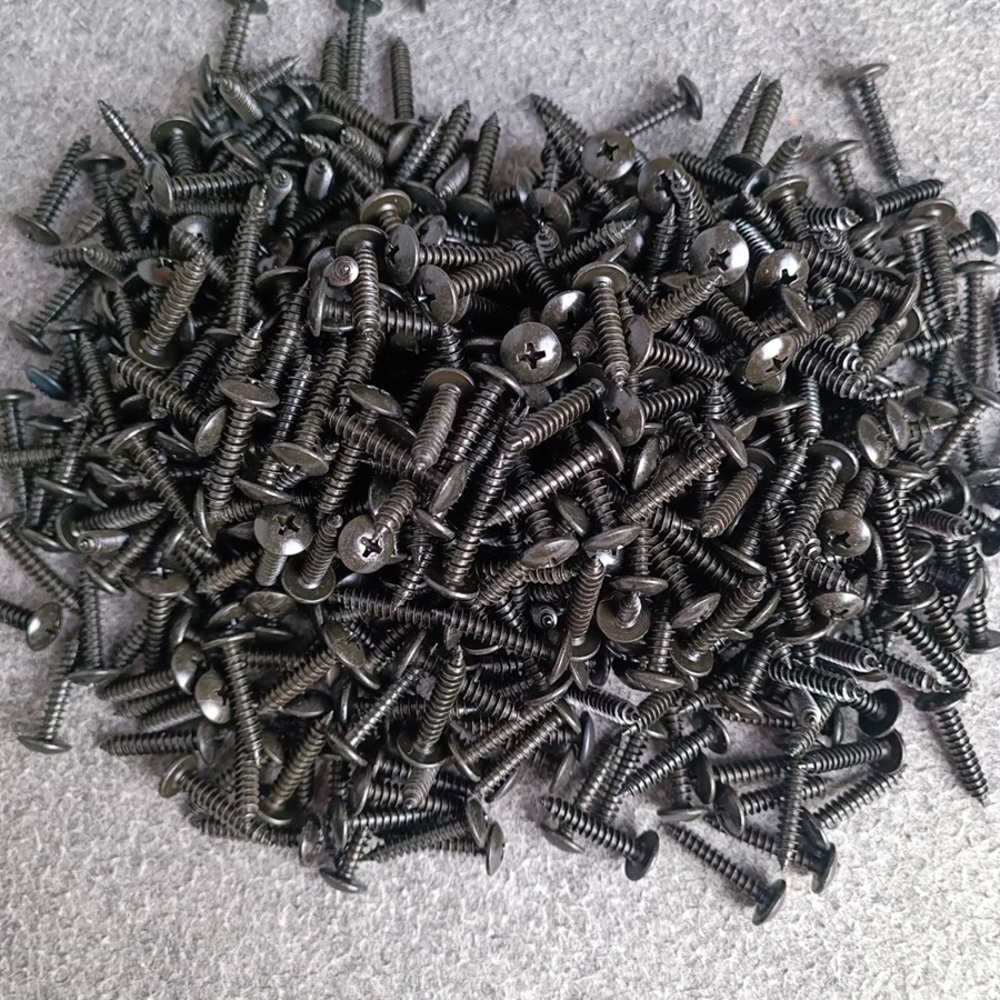 ประมาณ1000ตัว สกรูTHดำ 10X1" น็อตประกอบตู้ลำโพง สกรูเกลียวปล่อย น็อต1นิ้ว น็อตเกลียวปล่อย สกรูหัวกลม น็อตหัวกลมดำ เอไอ-ไพศาล