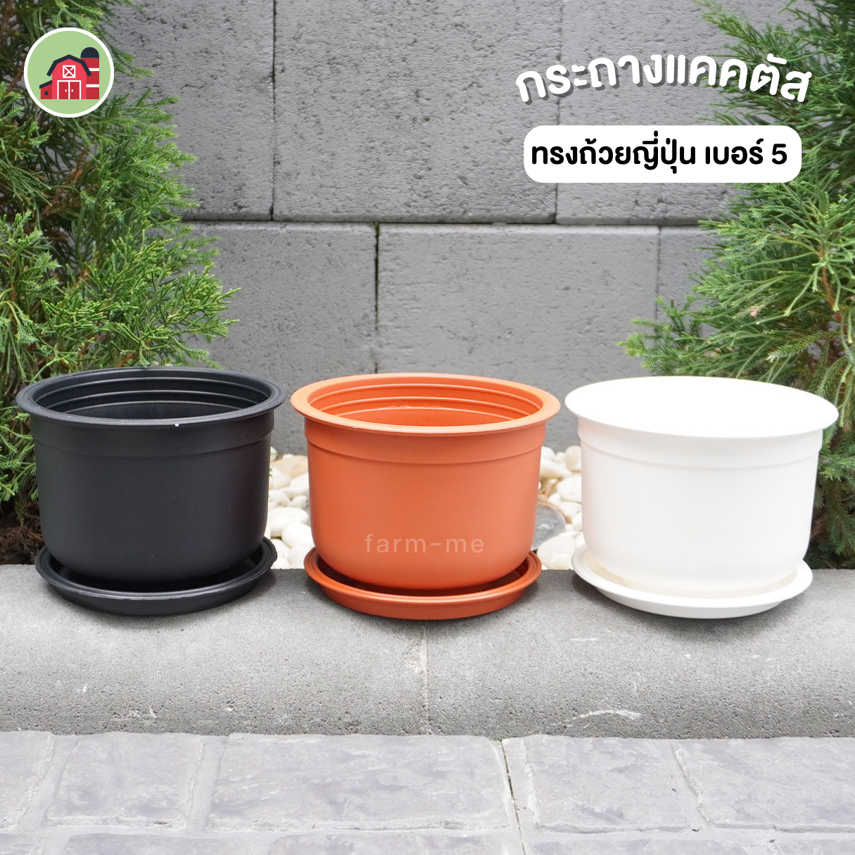 กระถางแคคตัส ทรงถ้วยญี่ปุ่น เบอร์ 5