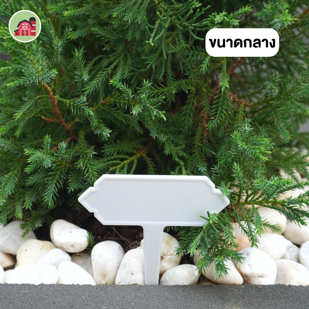 ป้ายชื่อต้นไม้ แบบปัก ขนาดกลาง