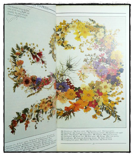 THE CREATIVE BOOK OFPRESSED FLOWERS 023860
