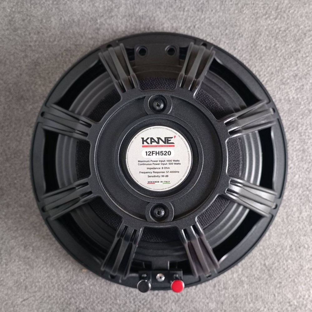 KANE 12FH520 ลำโพง12นิ้ว NEO 8โอห์ม แม่เหล็กนิโอ ดอกลำโพง 12 นิ้ว โครงหล่อ ลำโพง คาเน่ 12FH-520 12FH 520 เอไอ-ไพศาล