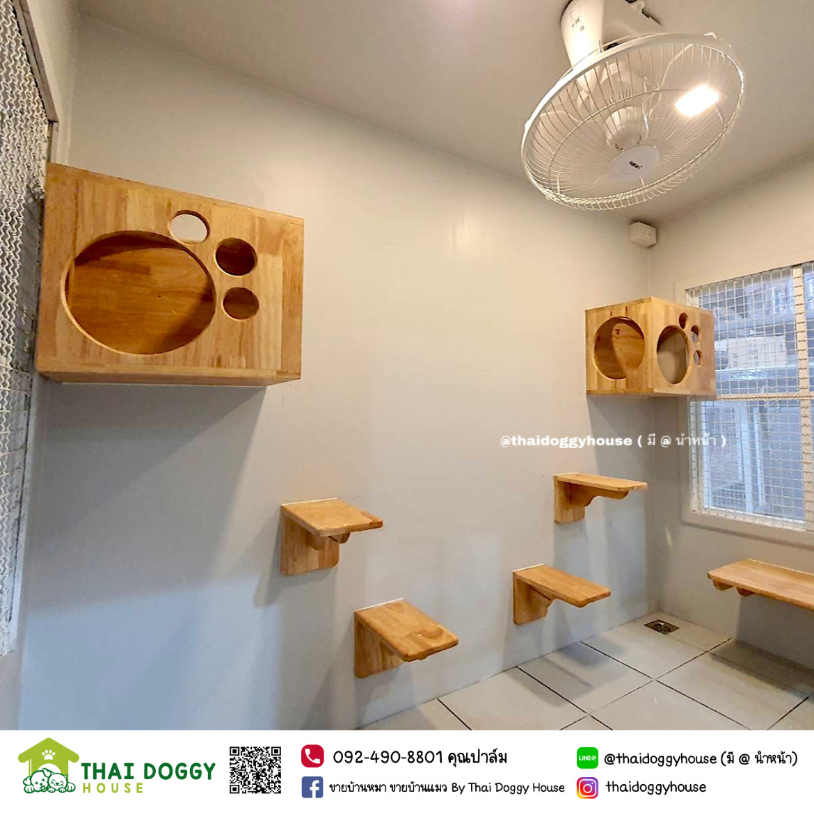 บ้านแมว หลังใหญ่ อยู่สบายๆ อากาศถ่ายเทดี พื้นปูกระเบื้อง สามารถล้างทำความสะอาดได้