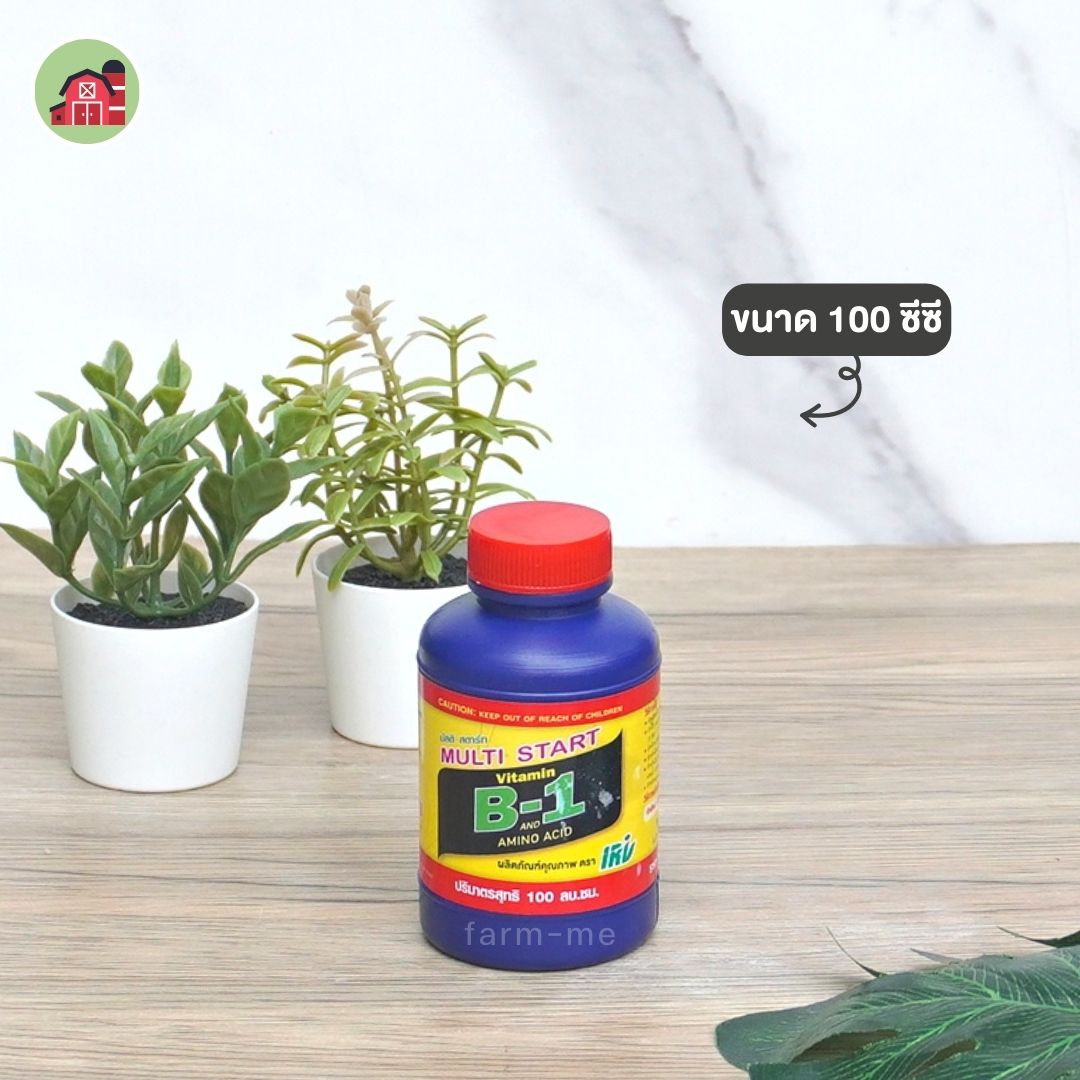 วิตามิน B1