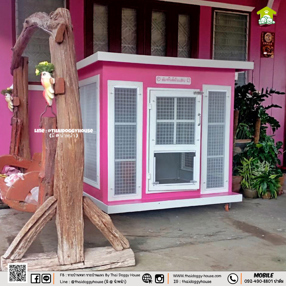 🏡 บ้านหมา บ้านแมว " 𝐁𝐎𝐗 𝐒𝐓𝐘𝐋𝐄 𝐁𝐘 𝐓𝐇𝐀𝐈 𝐃𝐎𝐆𝐆𝐘 𝐇𝐎𝐔𝐒𝐄