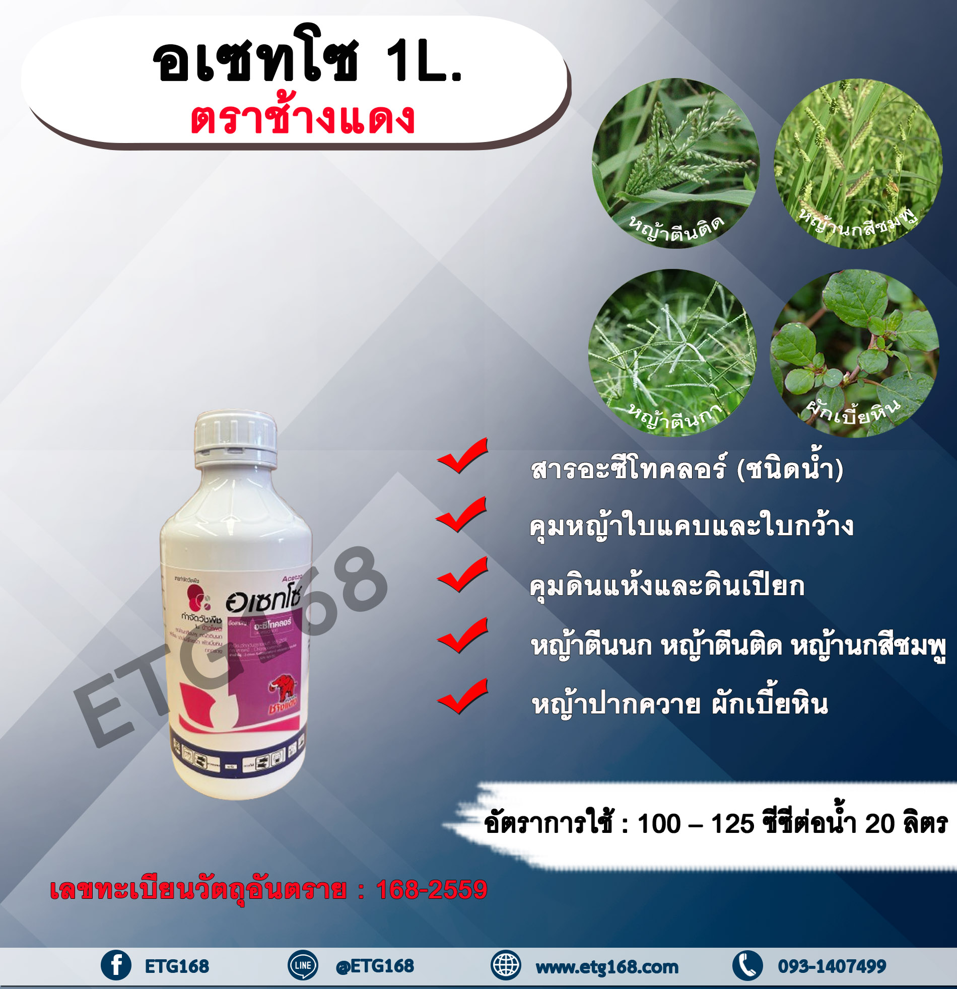 อเซทโซ 1L.ตราช้างแดง อะซีโทคลอร์ อะเซโทคลอร์ คุมหญ้า คุมวัชพืช คุมแห้ง สารกำจัดวัชพืช ใบแคบ ใบกว้าง หญ้าตีนติด หญ้าตีนกา หญ้านกสีชมพู หญ้าปากควาย ผักเบี้ยหิน ผักโขม