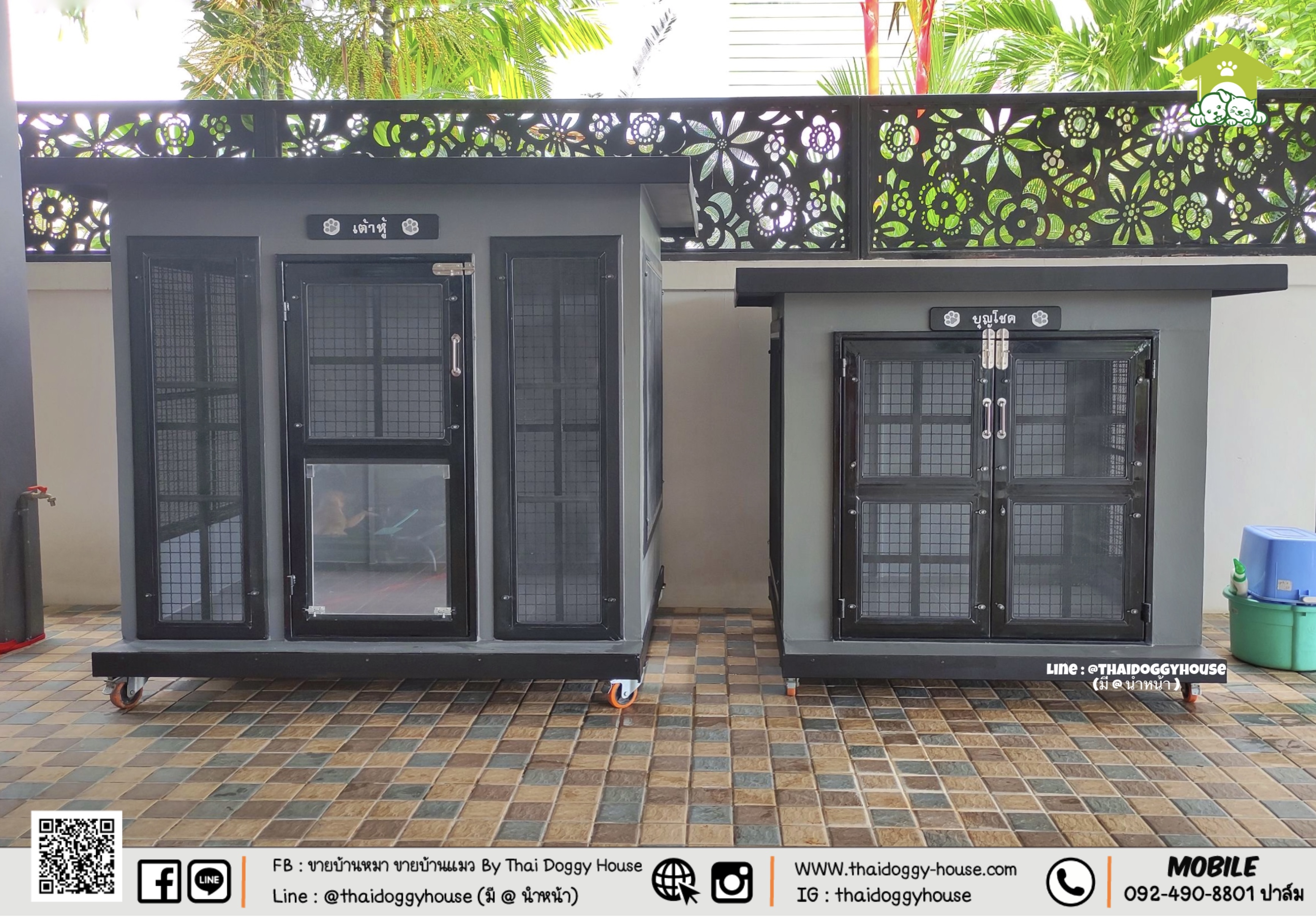 🏡 บ้านหมา บ้านแมว " 𝐁𝐎𝐗 𝐒𝐓𝐘𝐋𝐄 𝐁𝐘 𝐓𝐇𝐀𝐈 𝐃𝐎𝐆𝐆𝐘 𝐇𝐎𝐔𝐒𝐄