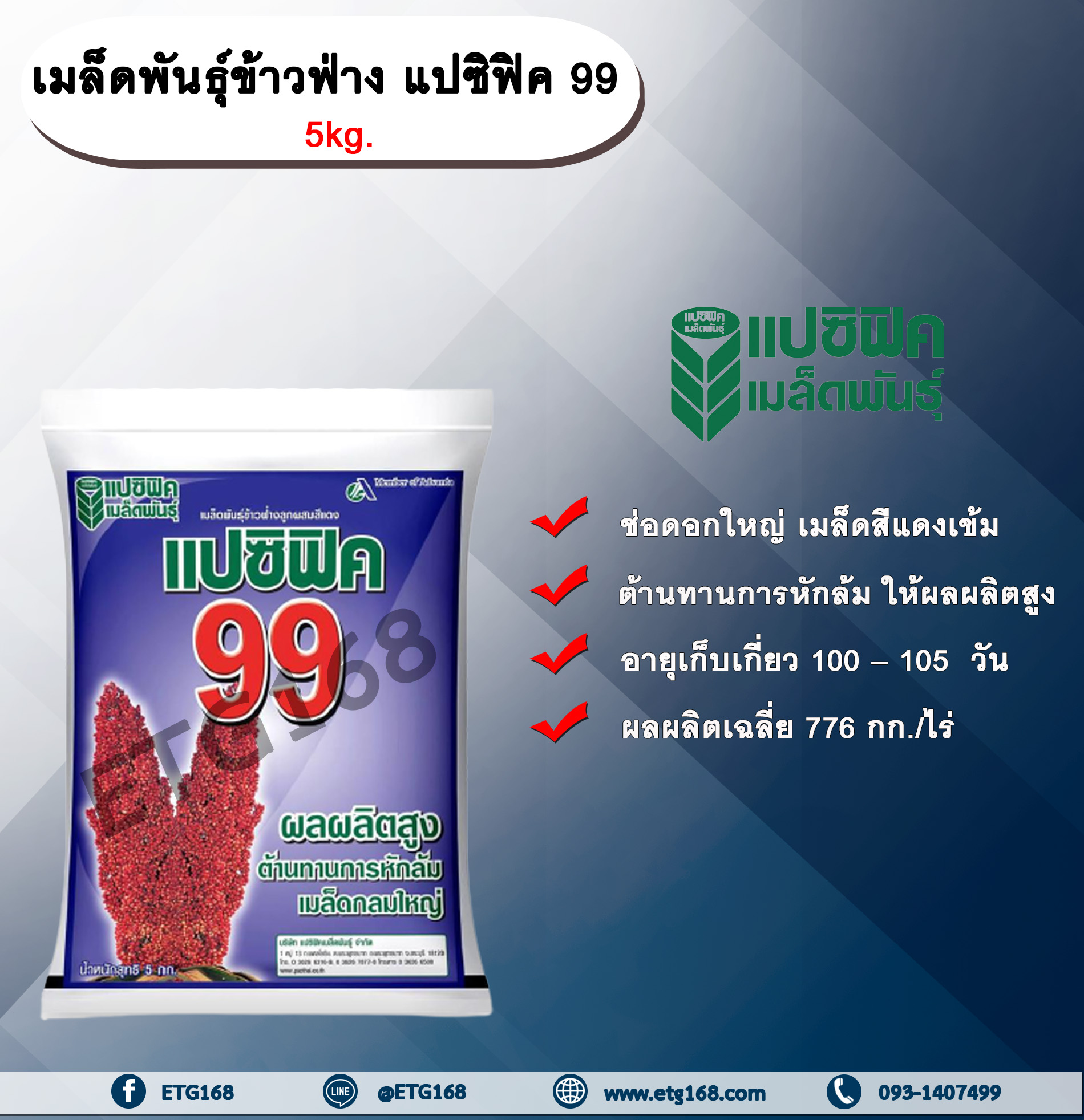 เมล็ดพันธุ์ข้าวฟ่าง แปซิฟิค 99 5kg. เมล็ดพันธุ์ข้าวฟ่างลูกผสมสีแดง ข้าวฟ่าง เมล็ดพันธุ์แปซิฟิค