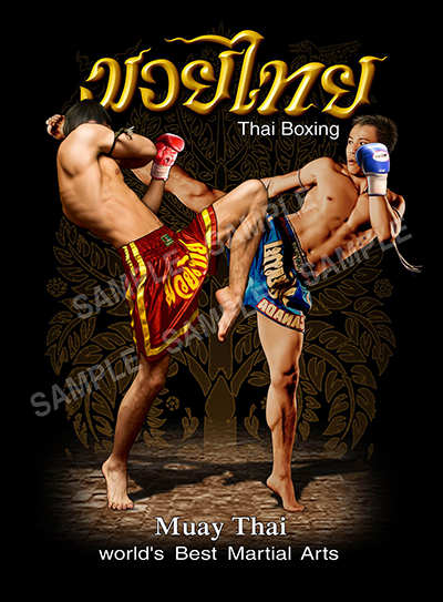 ลายสกรีนฮาฟโทนแนวไทยแลนด์