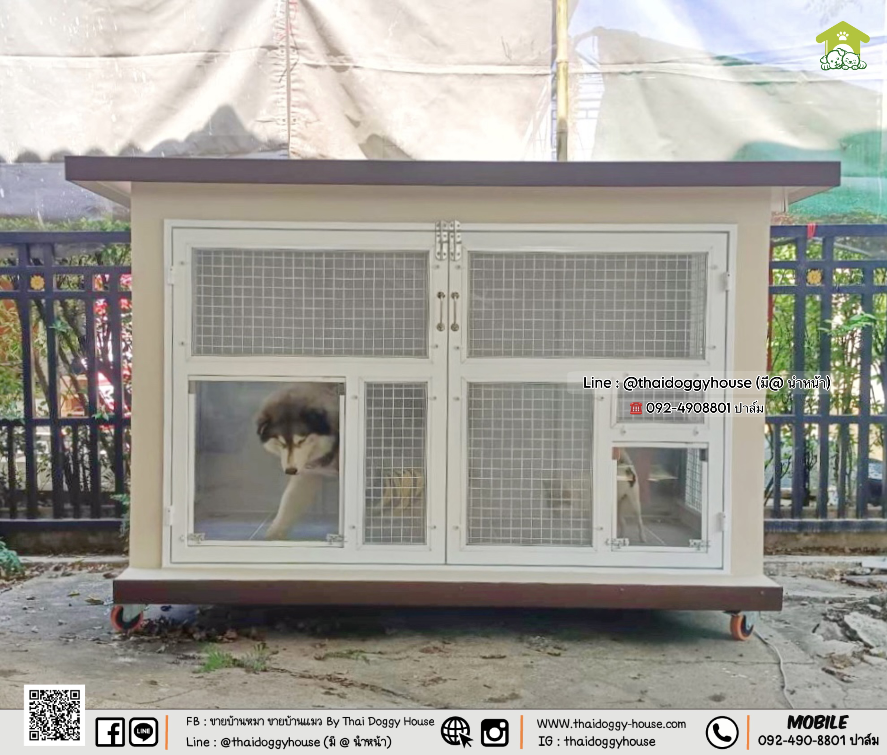 🏡 บ้านหมา บ้านแมว " 𝐁𝐎𝐗 𝐒𝐓𝐘𝐋𝐄 𝐁𝐘 𝐓𝐇𝐀𝐈 𝐃𝐎𝐆𝐆𝐘 𝐇𝐎𝐔𝐒𝐄