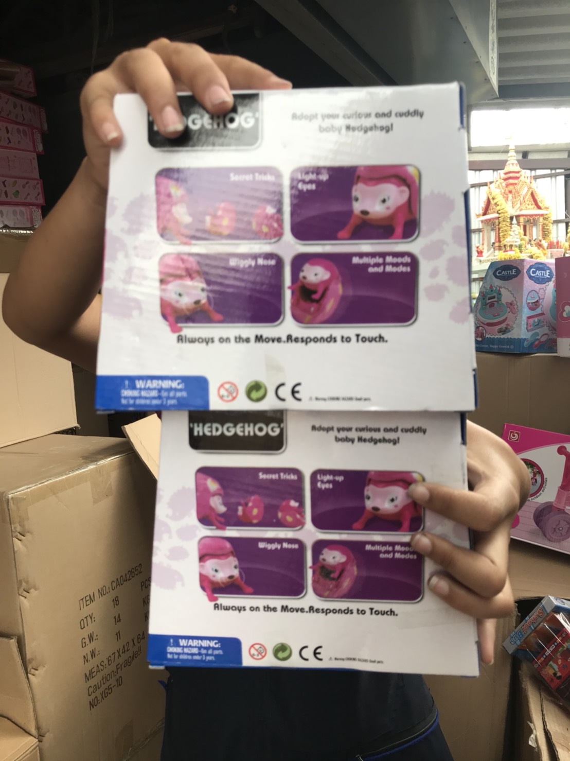 8816 สัตว์เลี้ยง เม่นกลิ้ง (เซลมีตำหนิสินค้าเปื้อน) ตัวละ