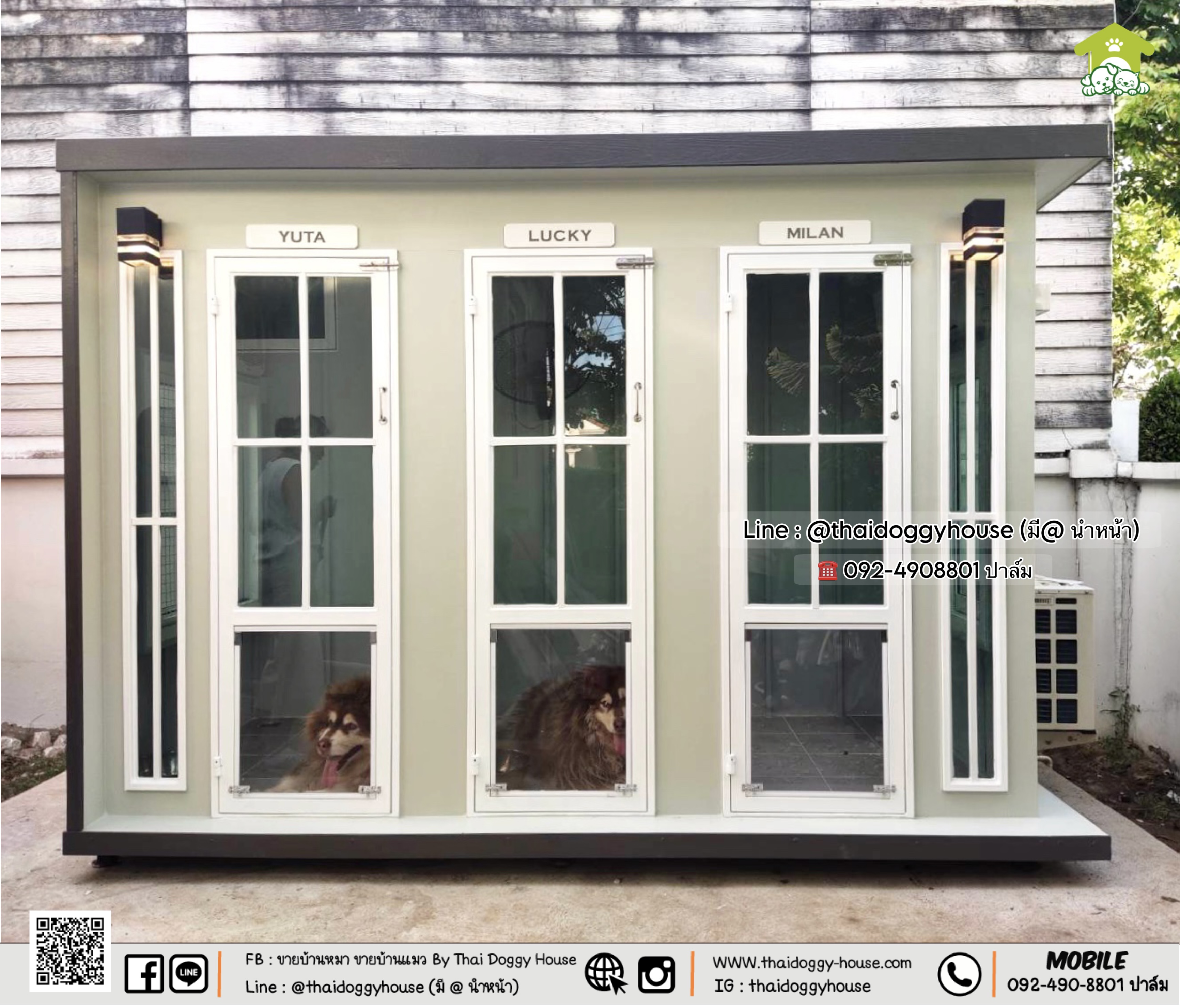 🏡 บ้านหมา บ้านแมว " 𝐁𝐎𝐗 𝐒𝐓𝐘𝐋𝐄 𝐁𝐘 𝐓𝐇𝐀𝐈 𝐃𝐎𝐆𝐆𝐘 𝐇𝐎𝐔𝐒𝐄