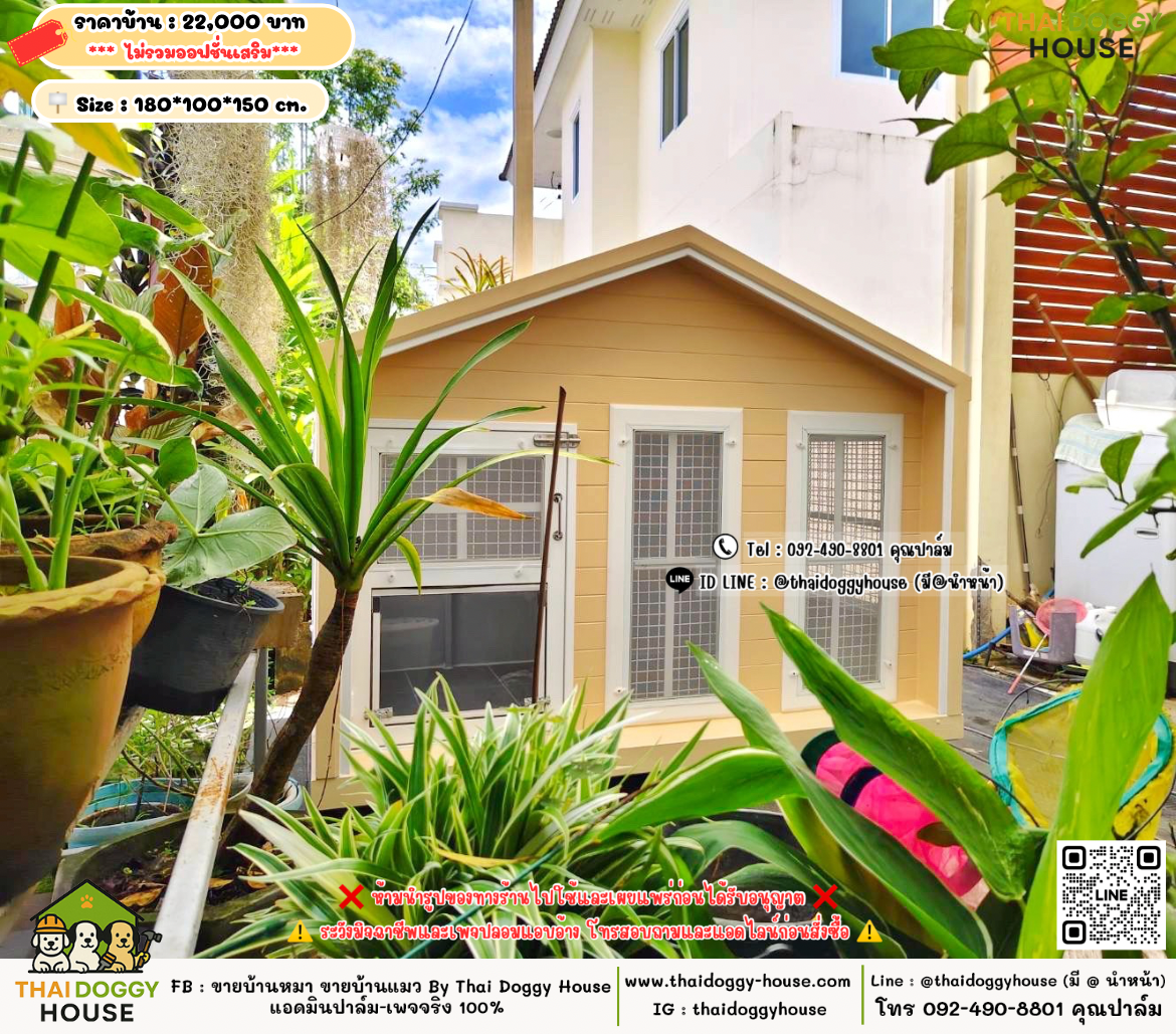บ้านหมา บ้านแมว 𝐓𝐡𝐚𝐢 𝐝𝐨𝐠𝐠𝐲 𝐡𝐨𝐮𝐬𝗲