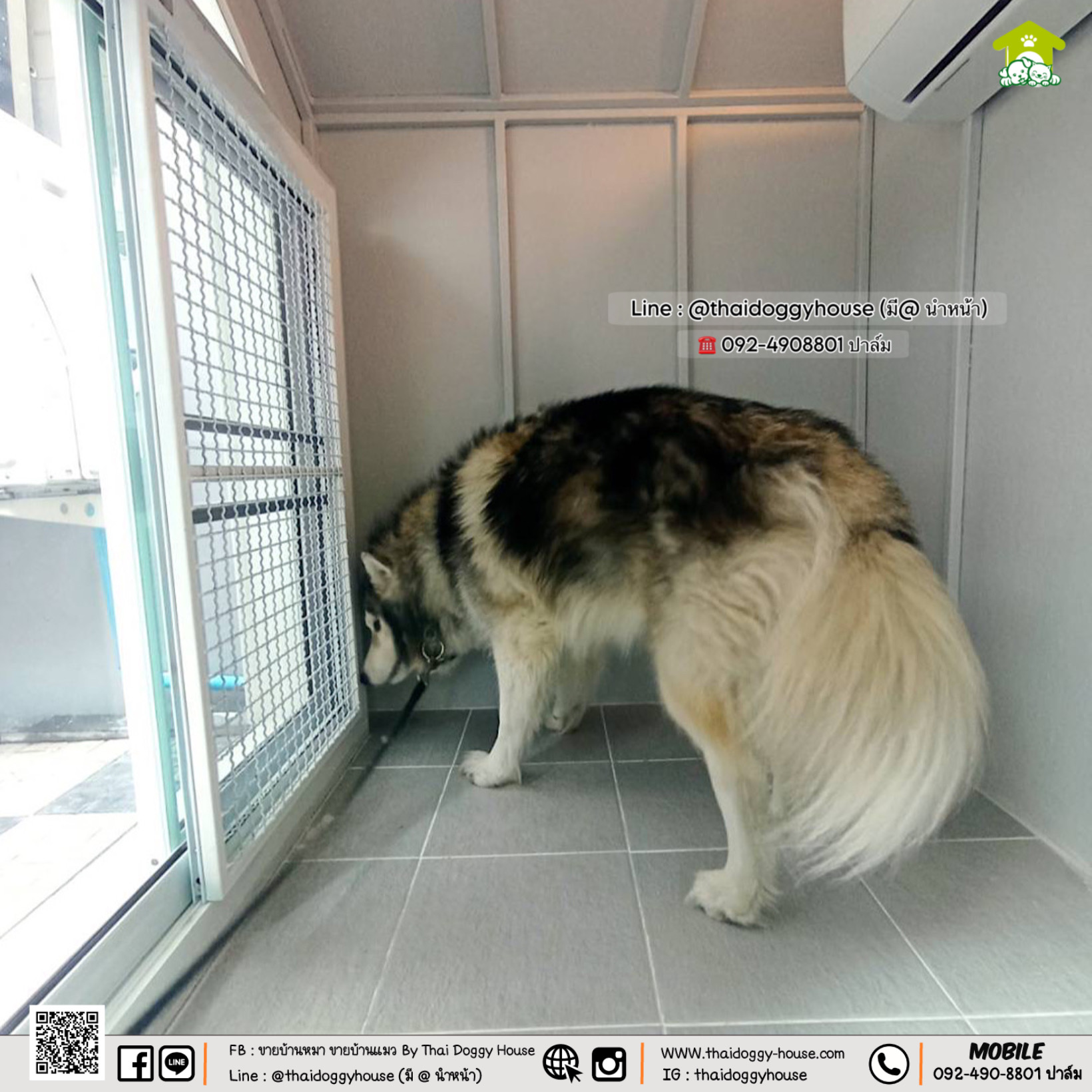 บ้านหมา บ้านแมว บ้านสัตว์เลี้ยง 𝐓𝐡𝐚𝐢 𝐝𝐨𝐠𝐠𝐲 𝐡𝐨𝐮𝐬𝗲