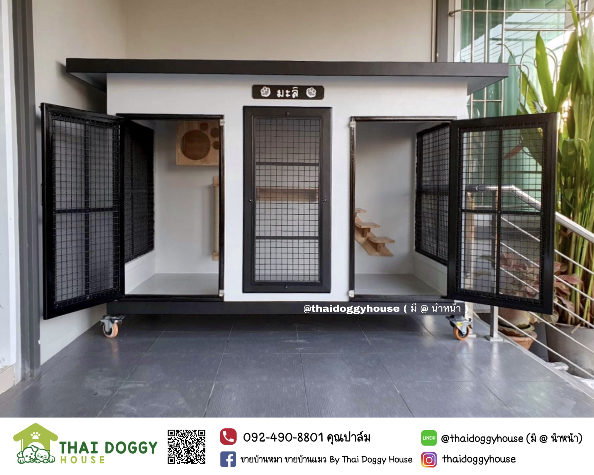 บ้านหมา บ้านแมว พร้อมตะแกรงเหล็ก มุ้งลวด