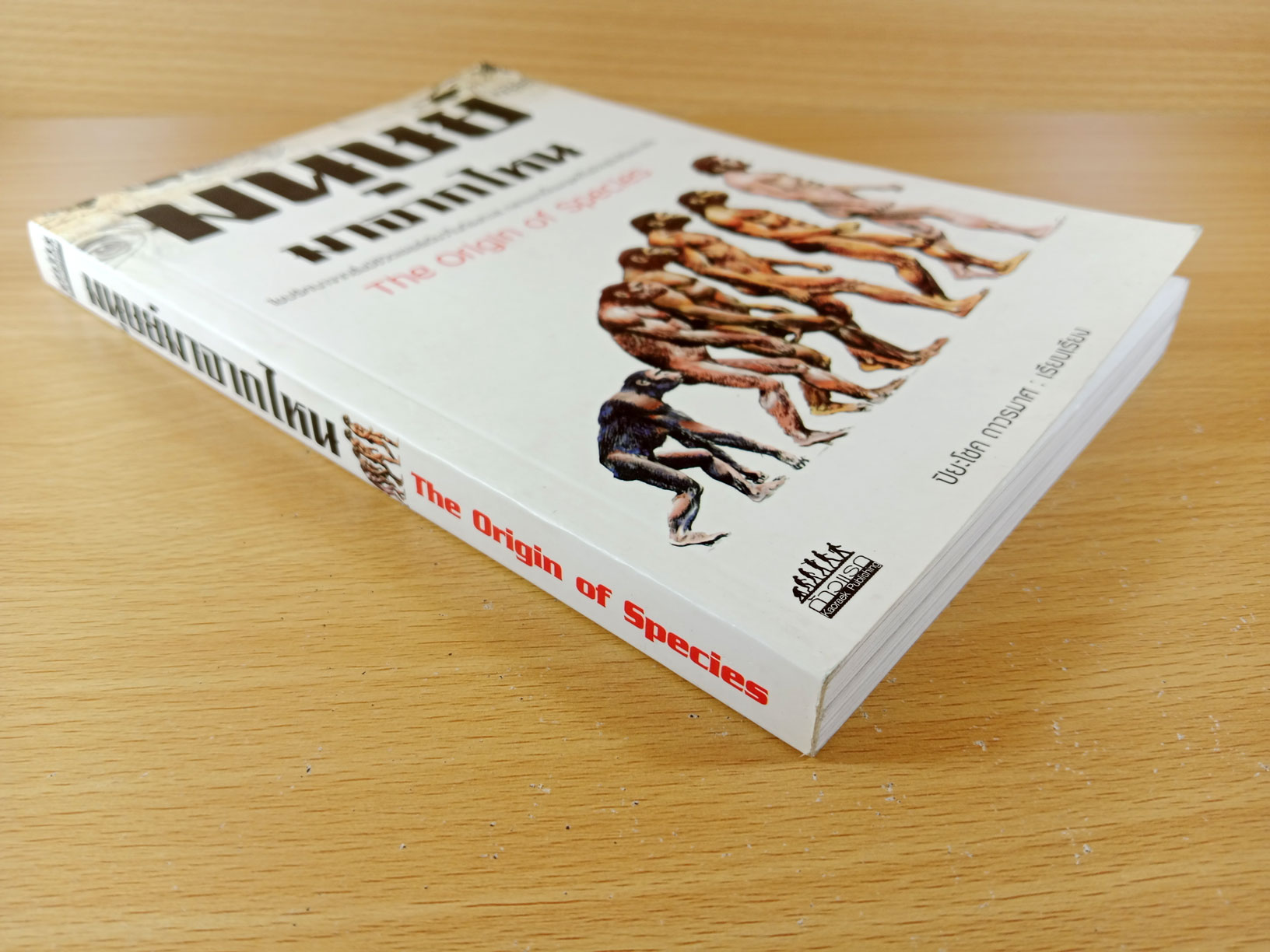 มนุษย์มาจากไหน The origin of species