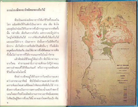 ป่าไม้ไทย หนังสือชุดความรู้ไทย 012497 (1)