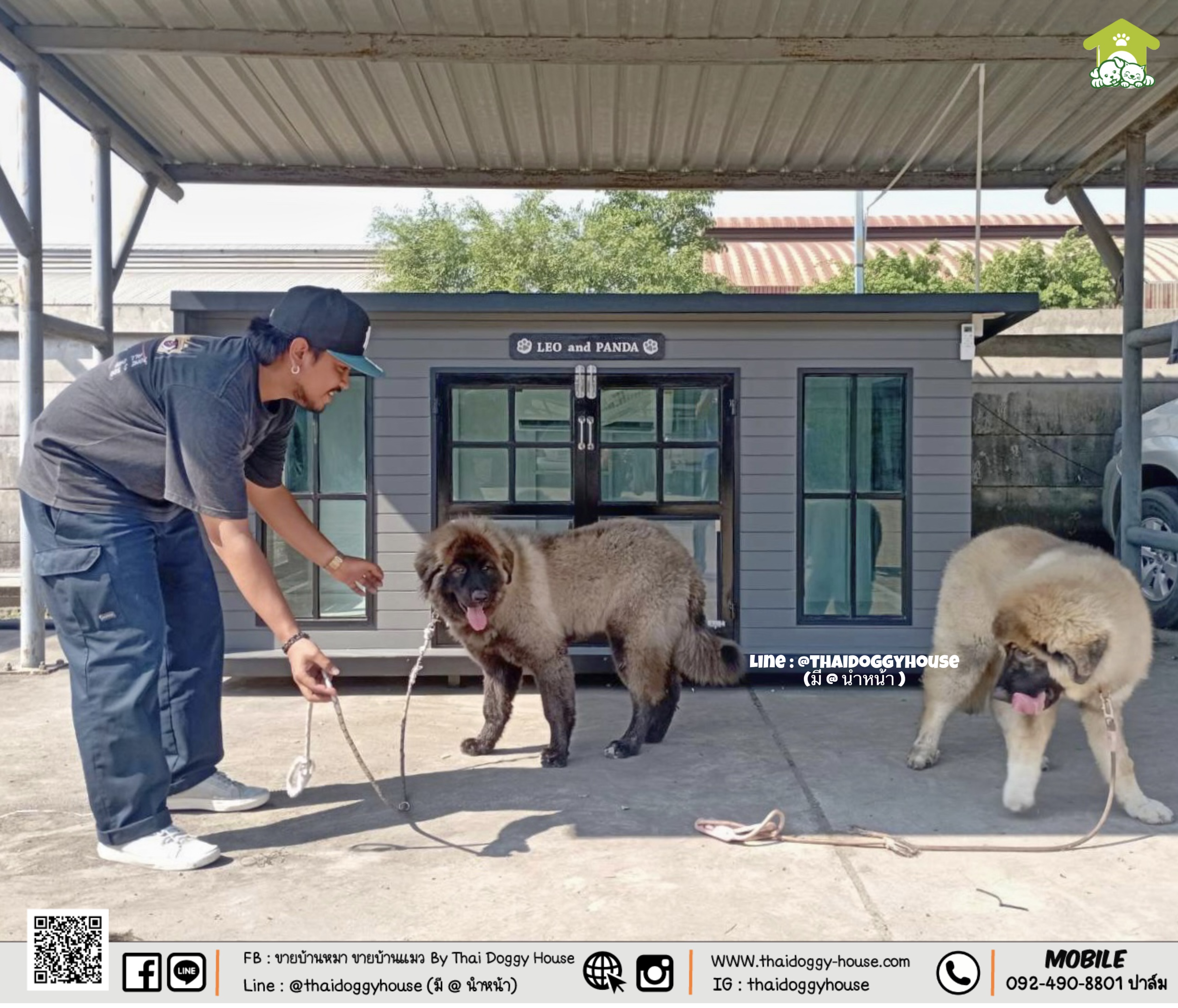 บ้านหมา บ้านแมว " 𝐁𝐎𝐗 𝐒𝐓𝐘𝐋𝐄 𝐁𝐘 𝐓𝐇𝐀𝐈 𝐃𝐎𝐆𝐆𝐘 𝐇𝐎𝐔𝐒𝐄 "