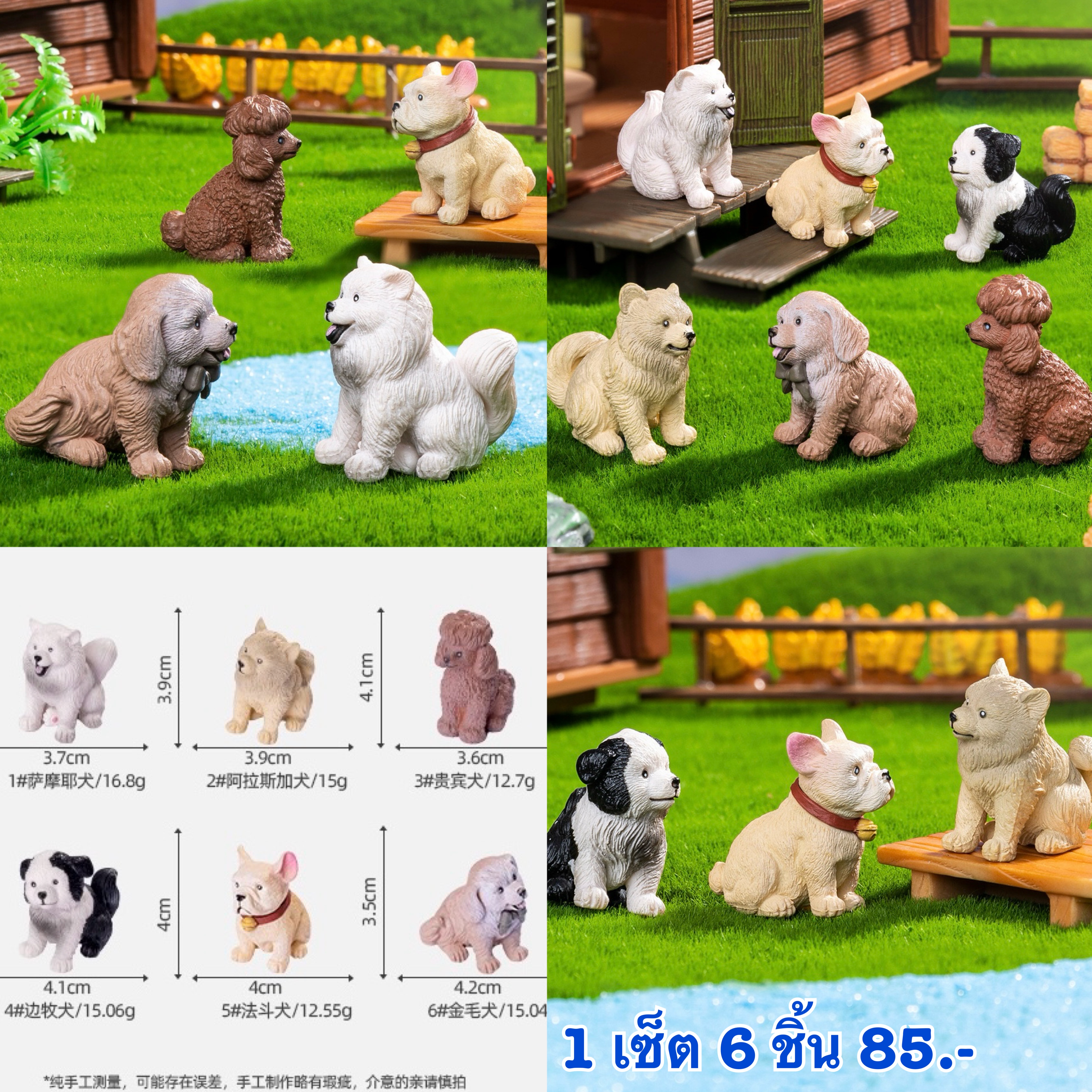 หมา 6 ชิ้น
