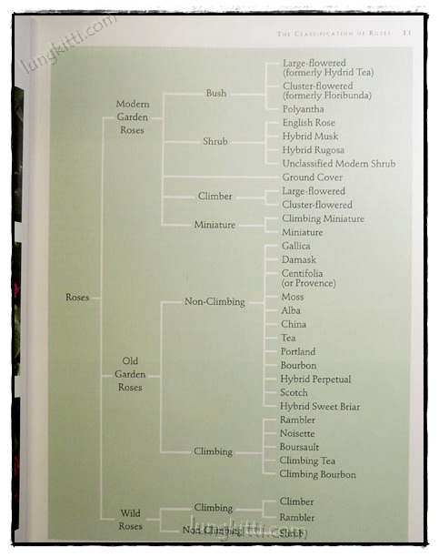 THE ULTIMATE ROSE BOOK 023874 (1)