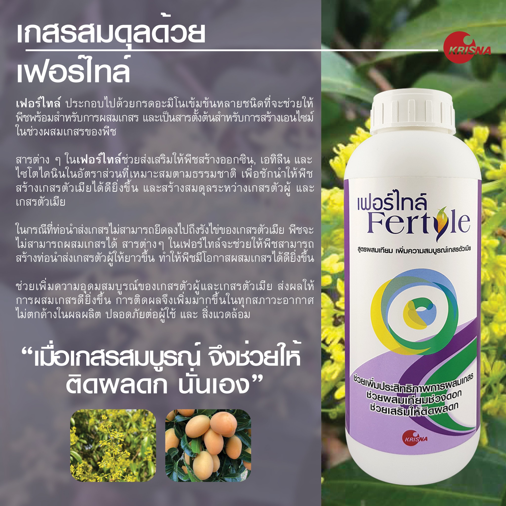 เฟอร์ไทล์ 500ml. ผสมเทียม เกสรตัวเมียสมบูรณ์ ดอกสมบูรณ์ เกสรแข็งแรง เกสรติดดี ติดผลดก สารอาหารสำหรับพืช