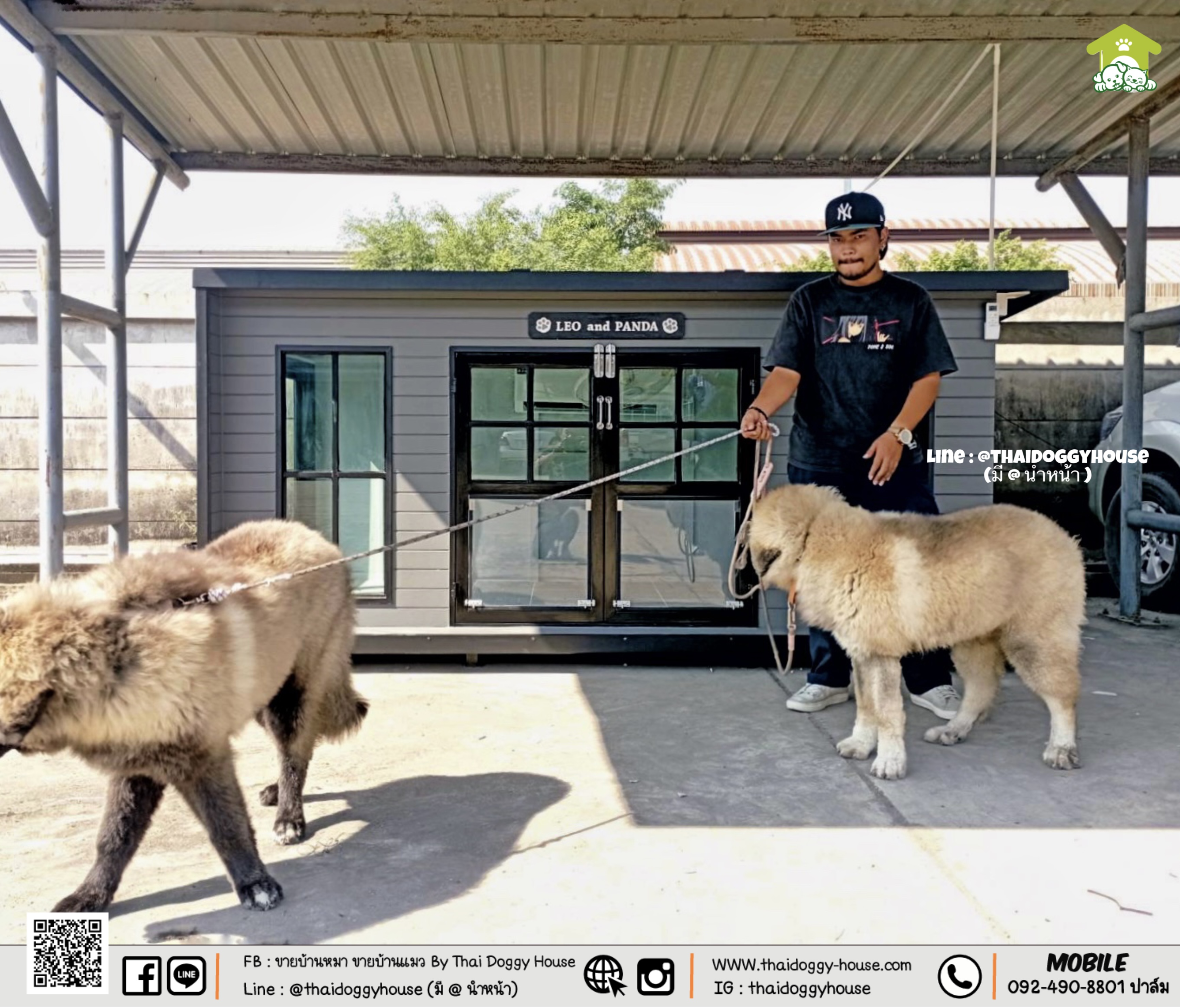 บ้านหมา บ้านแมว " 𝐁𝐎𝐗 𝐒𝐓𝐘𝐋𝐄 𝐁𝐘 𝐓𝐇𝐀𝐈 𝐃𝐎𝐆𝐆𝐘 𝐇𝐎𝐔𝐒𝐄 "