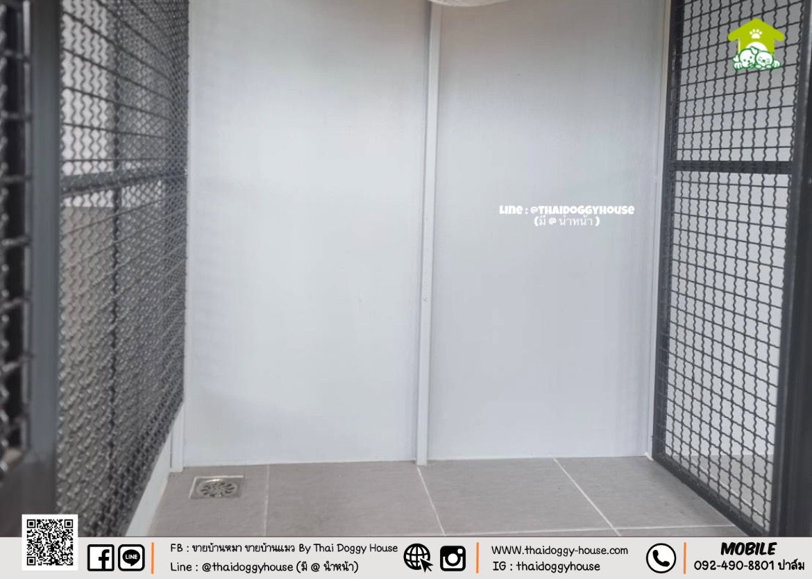 บ้านหมา บ้านแมว " 𝐁𝐎𝐗 𝐒𝐓𝐘𝐋𝐄 𝐁𝐘 𝐓𝐇𝐀𝐈 𝐃𝐎𝐆𝐆𝐘 𝐇𝐎𝐔𝐒𝐄 " &#x